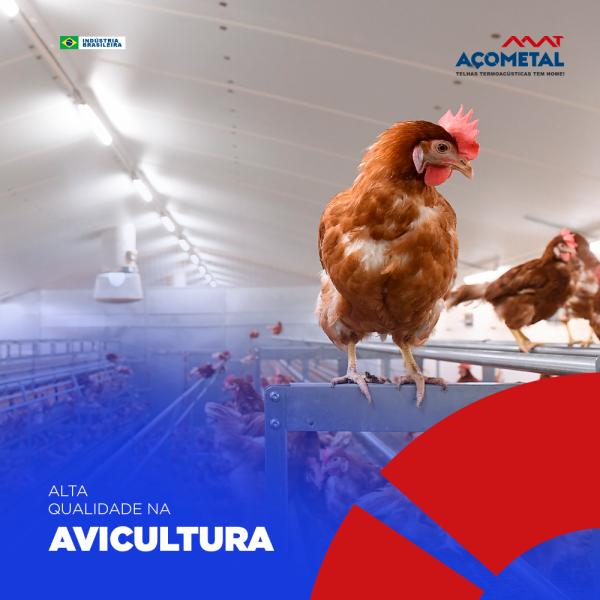 A estrutura e a construção do local onde vivem animais de produção, como as aves!